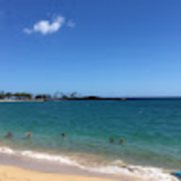 Meet your Posher, Katelyn - Picture 1 of 1